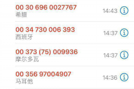 南汇南汇的要账公司在催收过程中的策略和技巧有哪些？